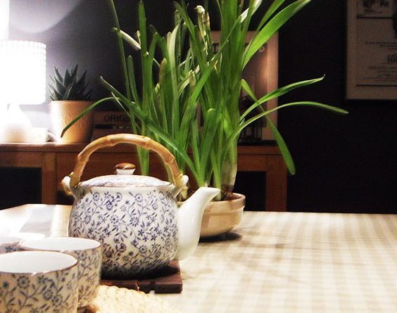 清新DIY家居装修装饰 让家空气持久清新