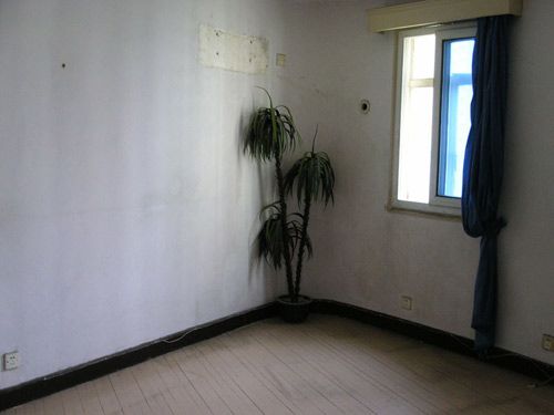 限购令下中山网友翻新老房 变身暖色田园居