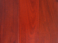 考拉地板-红��木-香脂木豆