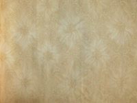 ¹-R488319