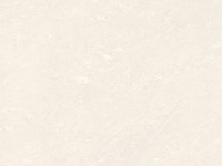հʯTPQ80-113#