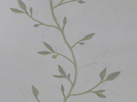 ֽ-WF5173ϵ